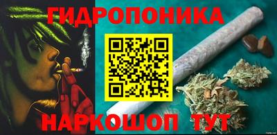 СК Моздок