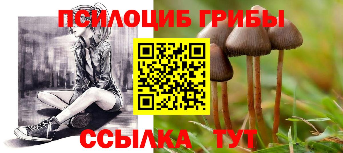 Псилоцибиновые грибы Magic Shrooms  Вход с VPN  Бугуруслан  Галлюциногенные грибы GOLDEN TEACHER 